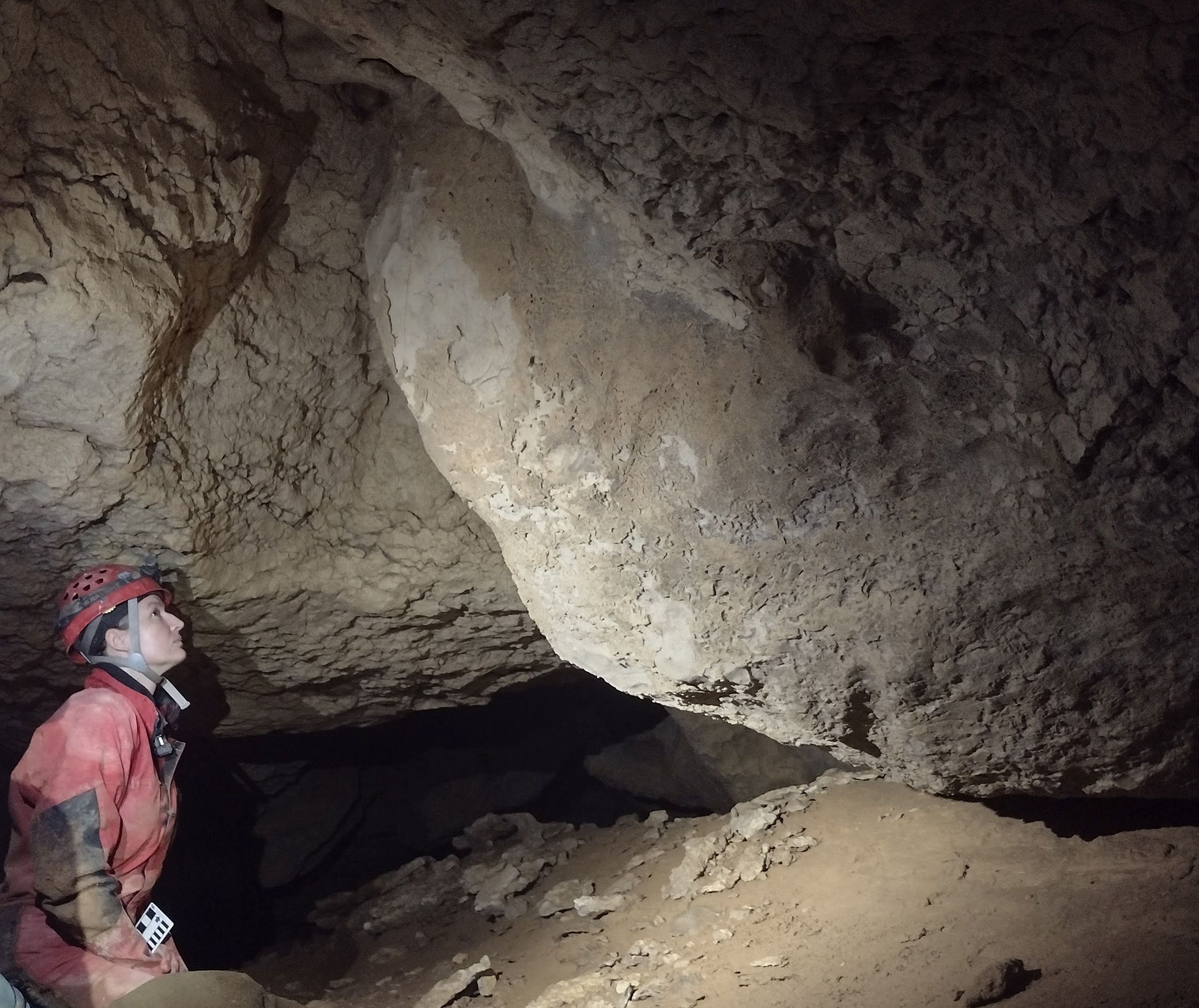 Dr. Gina Lukoczki examining a possible dolomitized paleokarst-fill in Spelungers Cave in the Edward Mountain Cave System.